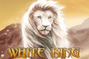 Playtech : White King - BOYBET168