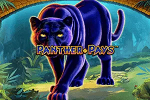 Playtech : Panther Pays - BOYBET168