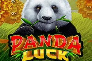Playtech : Panda Luck - BOYBET168