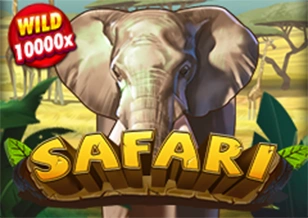 AFB : Safari - BOYBET168